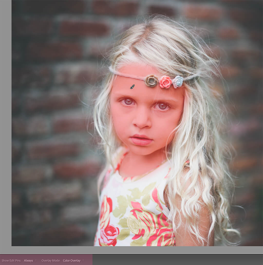6 Questions About Lightroom's Brush Tool You're Too Afraid to Ask | Pretty Presets Lightroom Tutorial