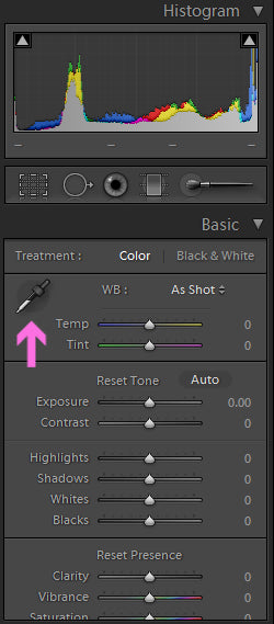 How to White Balance