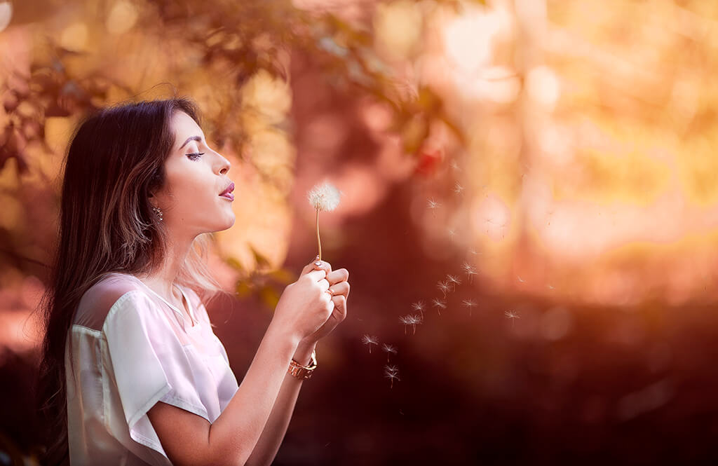 Adobe Lightroom App FAQ