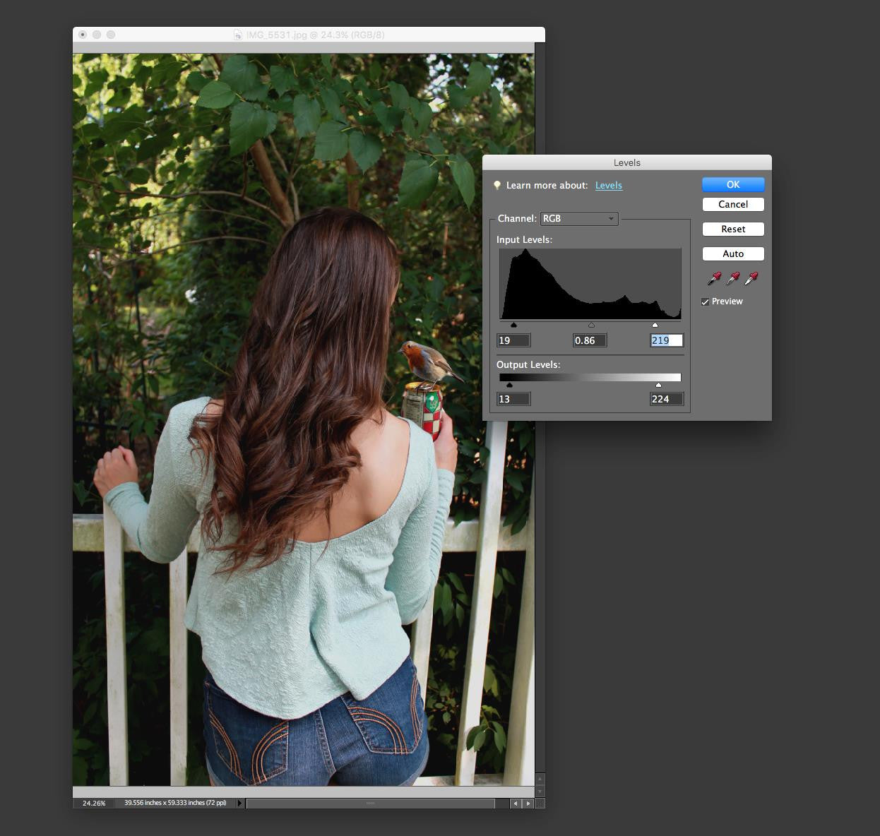 Photoshop Using Levels