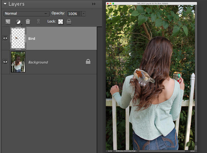 Photoshop copy and paste