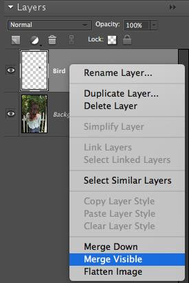 Photoshop Merge Visible
