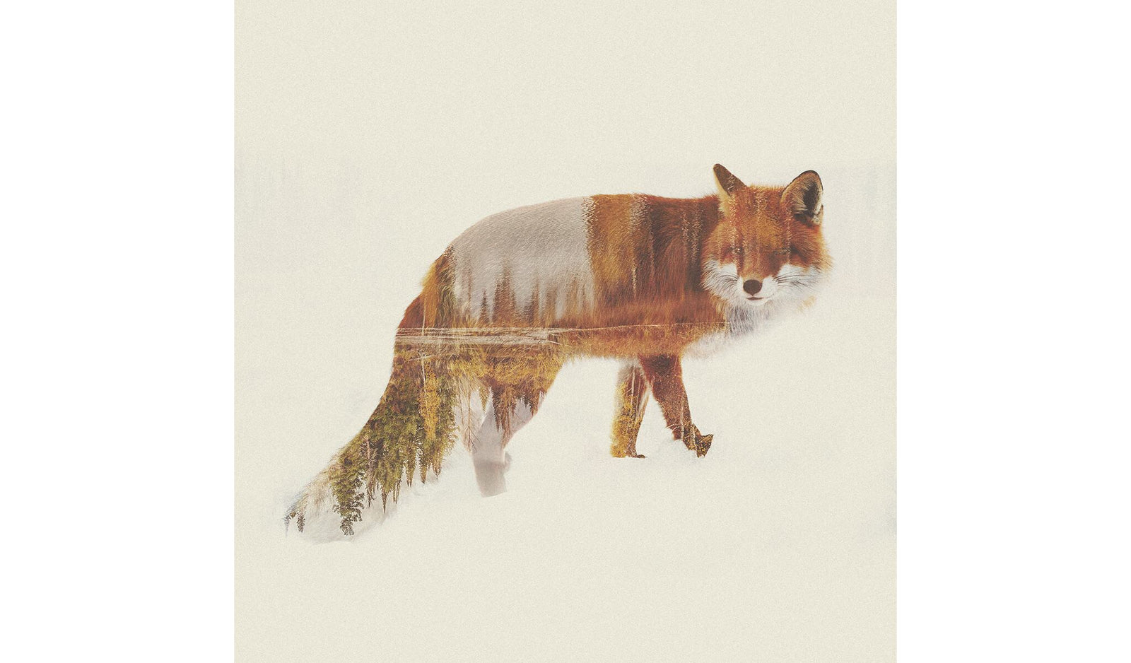 Double Exposure: Photoshop Actions Collection