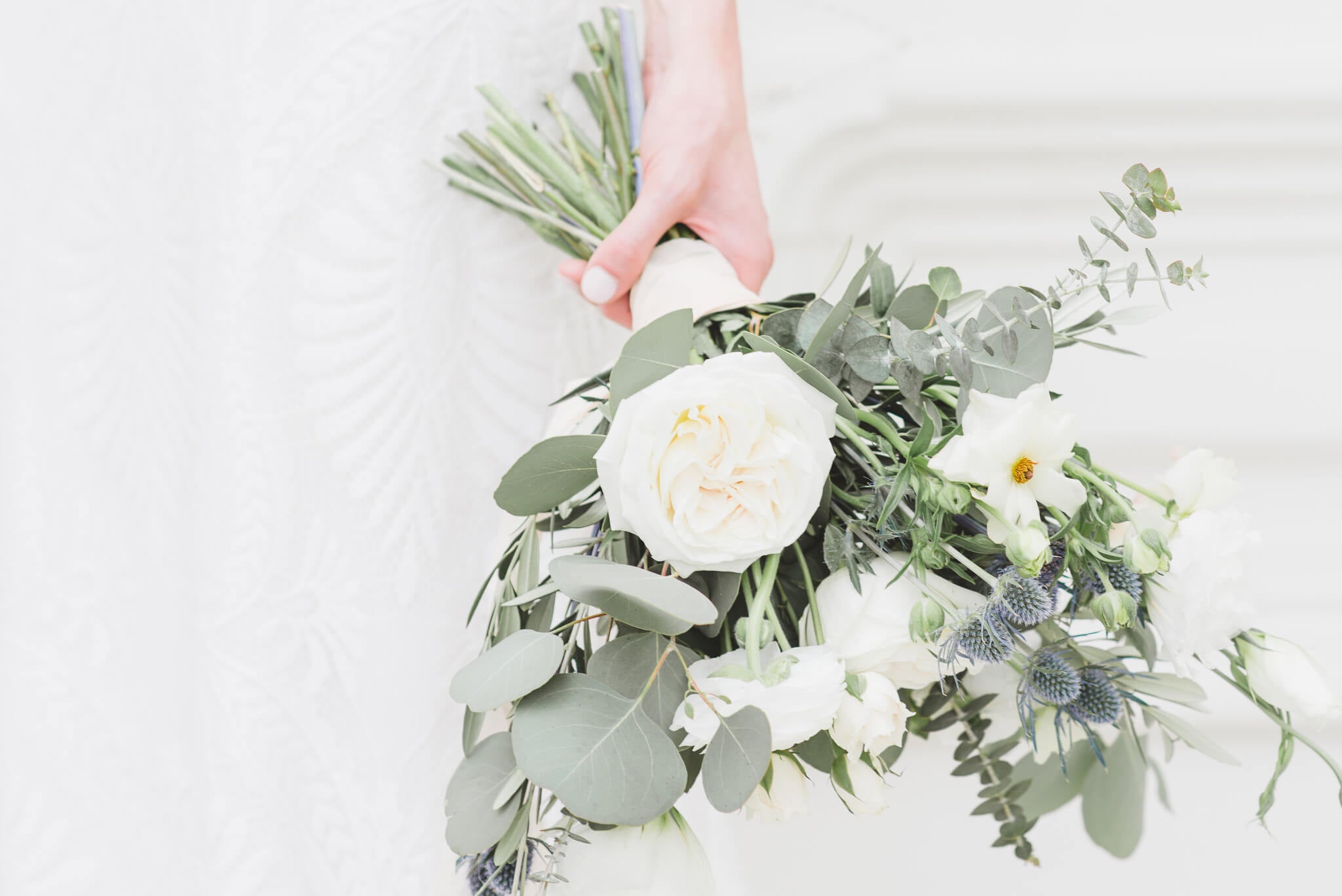 Targeted Adjustment Brush Lightroom