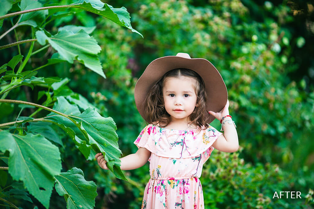 Recipes for Lightroom