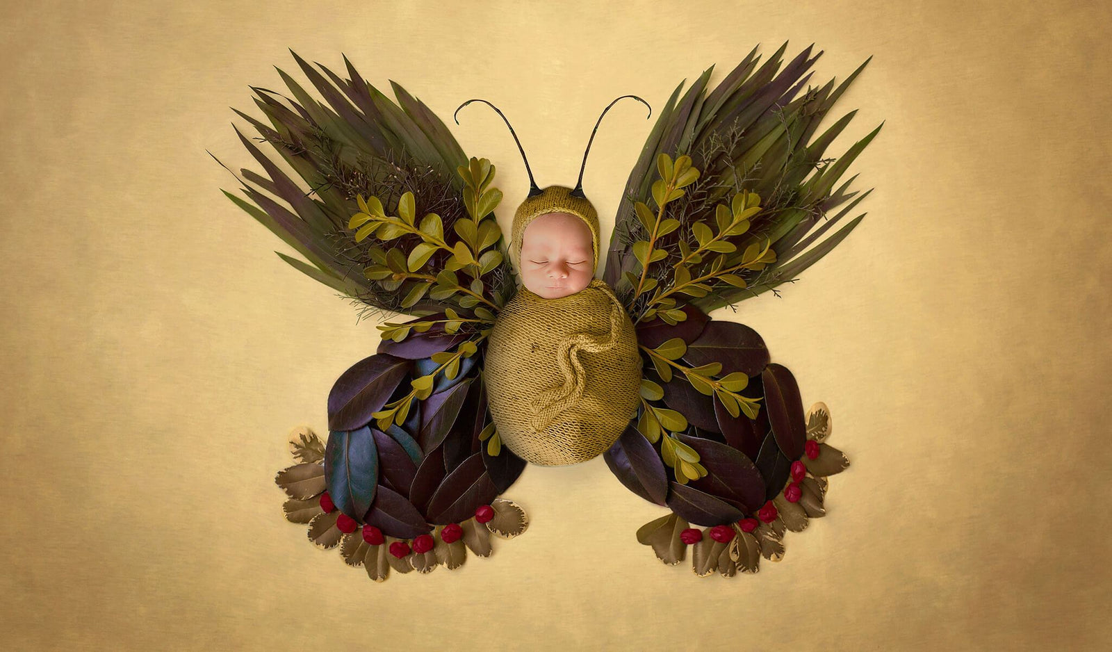 Garden Butterfly Digital Backgrounds for Baby Photography