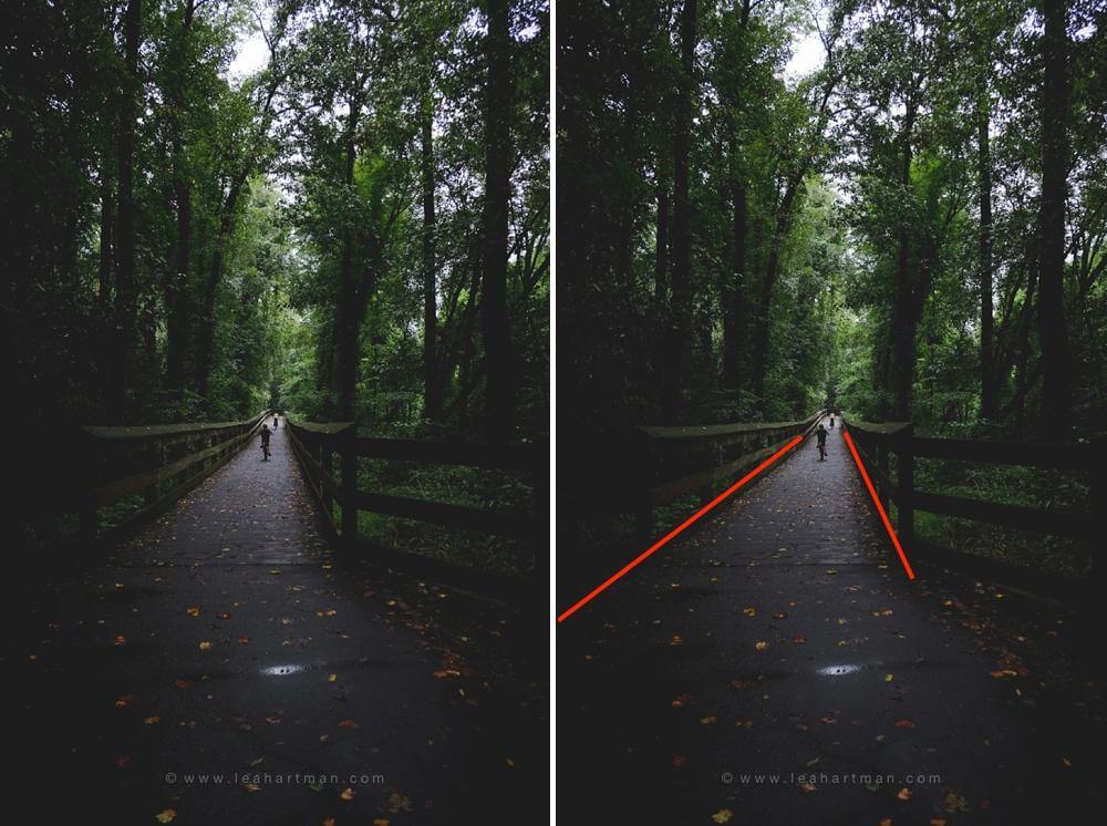 Using Leading Lines to Improve Your Composition