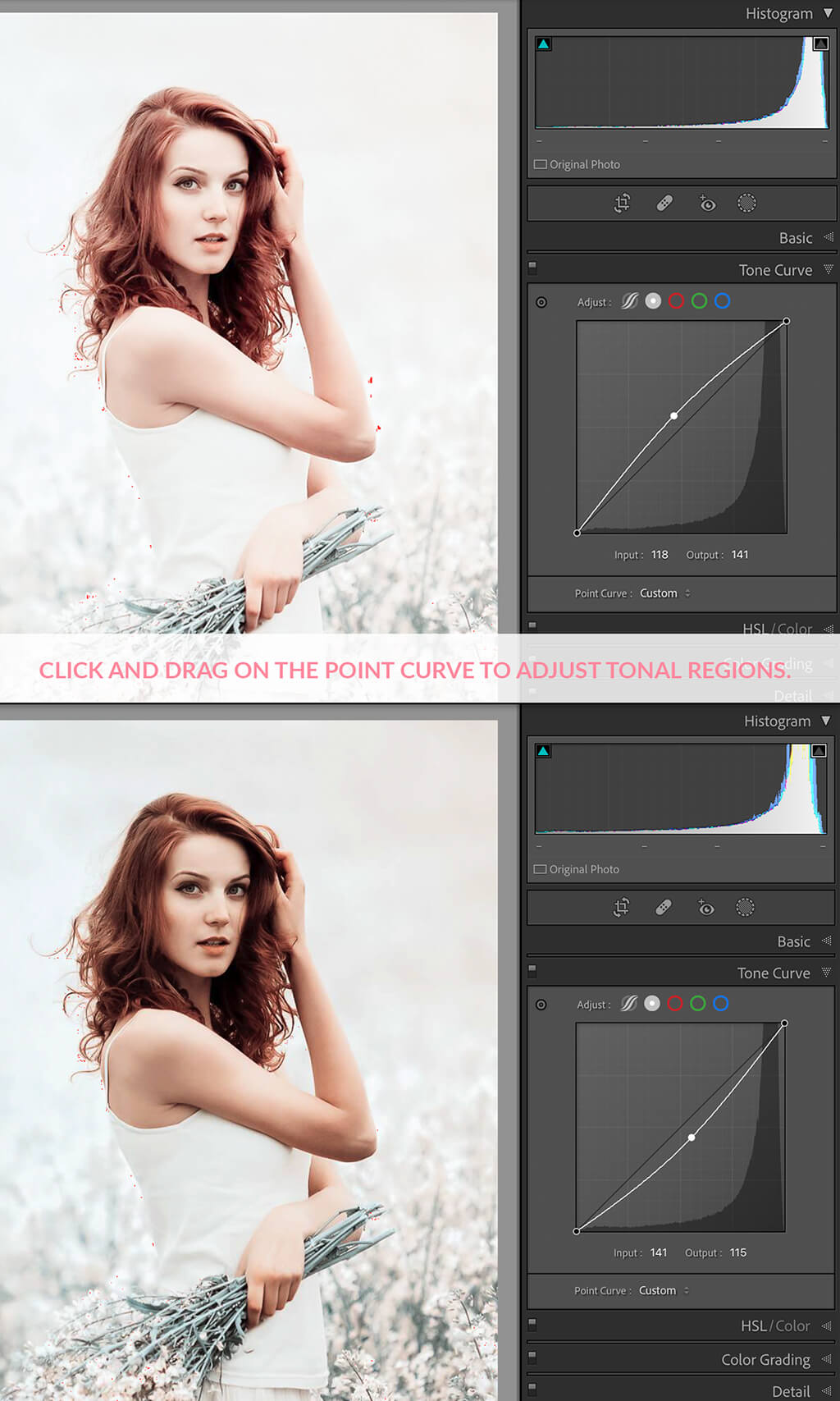 Best Tone Curve Lightroom