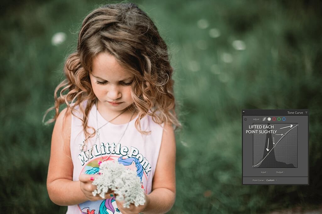 New Lightroom Tone Curve