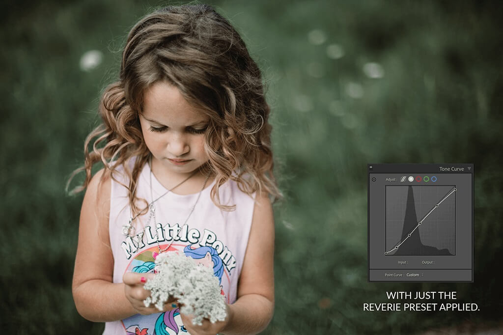 Color Tone Curve Lightroom