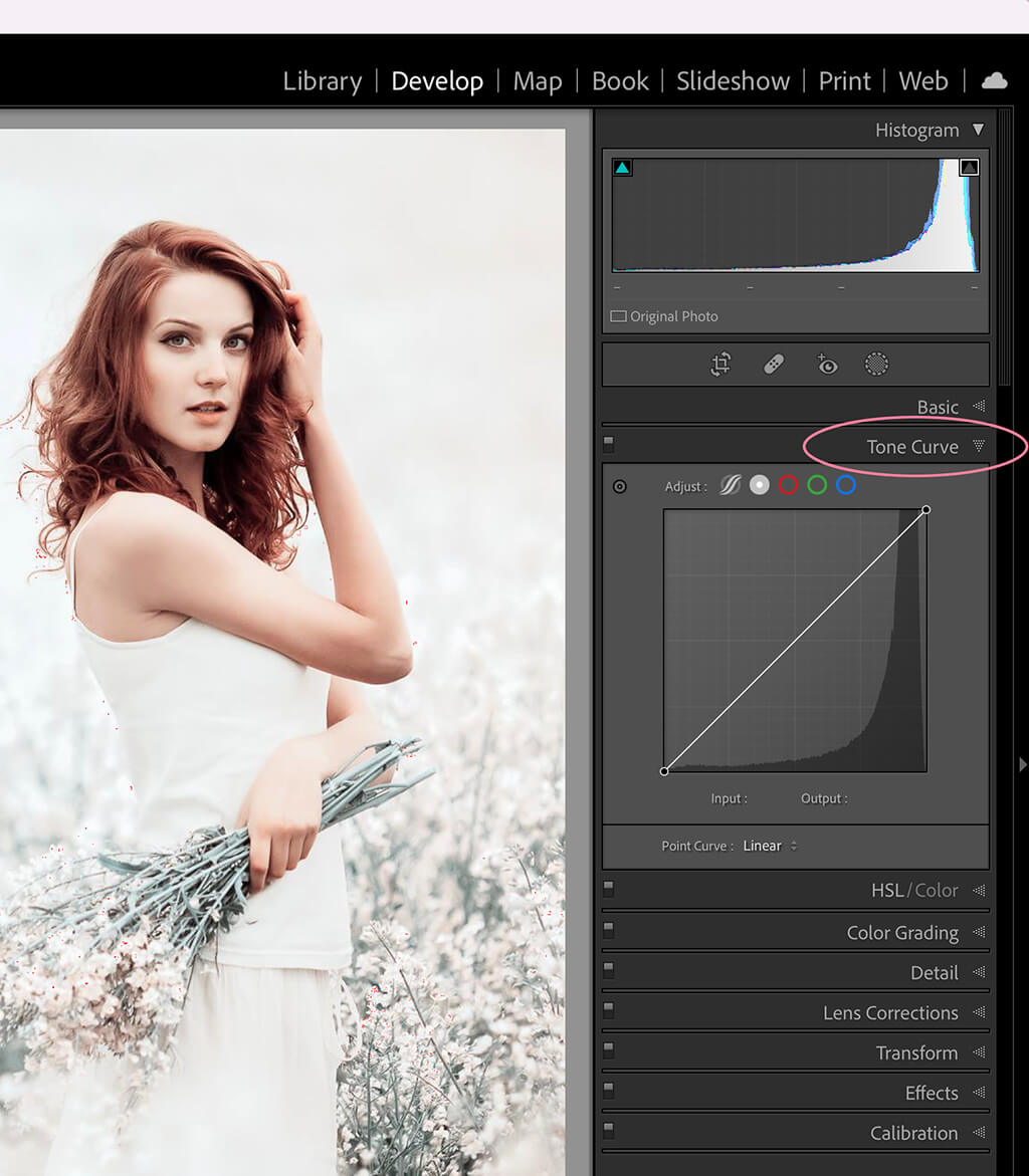 Lightroom Tone Curve