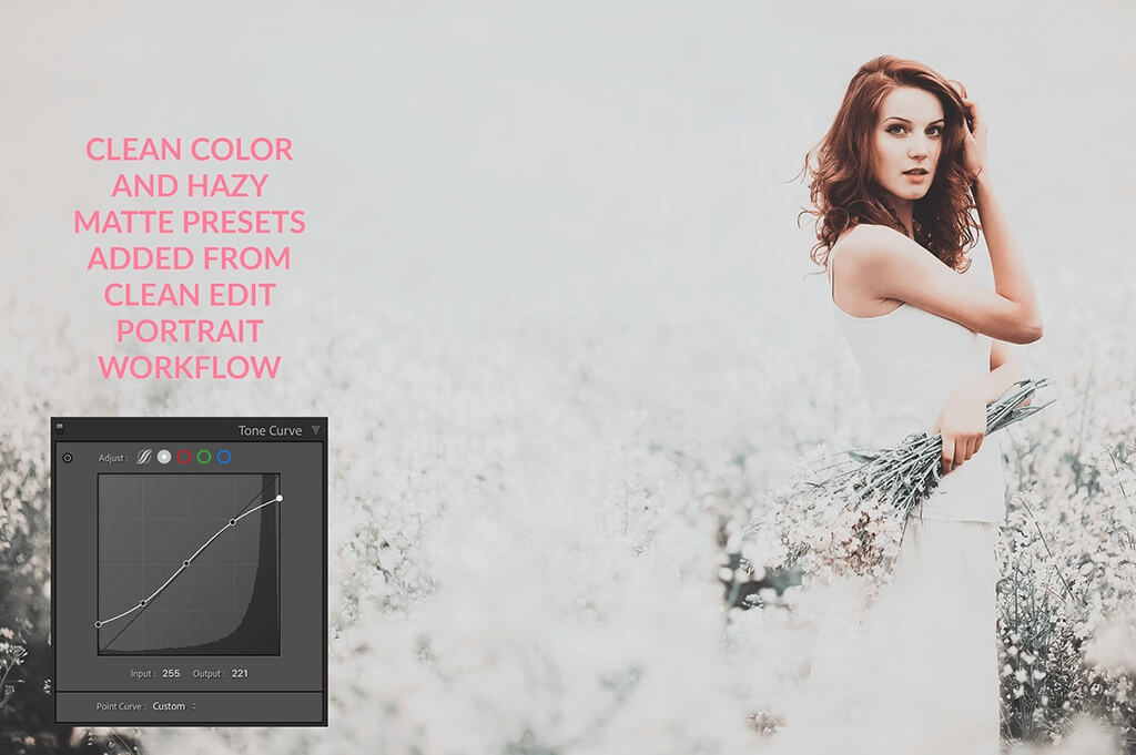 Point Curve in Lightroom