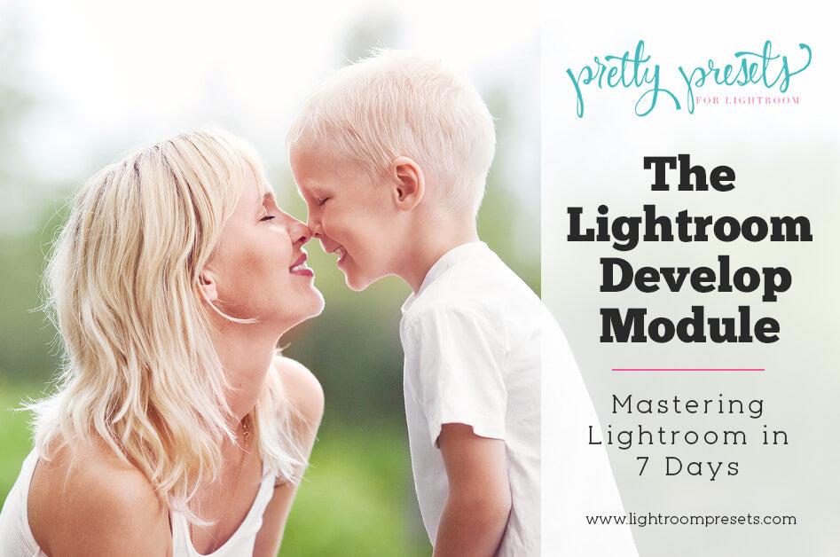 Lightroom Develop Module