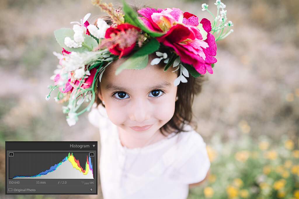 histogram lightroom tutorial