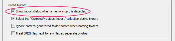 Lightroom Import Settings