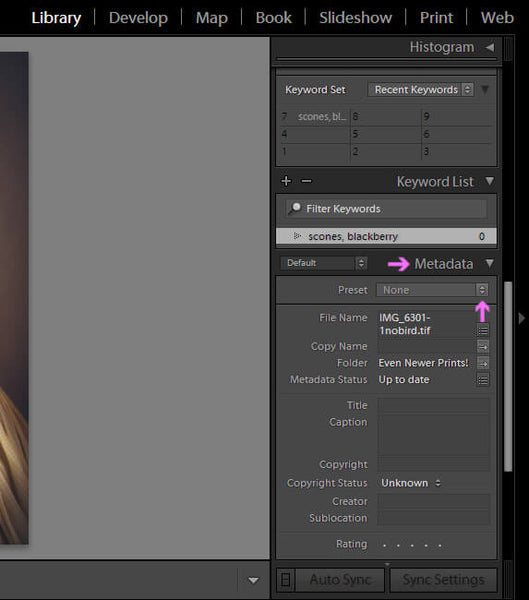Lightroom Show Metadata