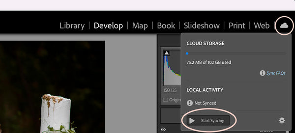 How to Sync Lightroom Mobile to Lightroom Classic