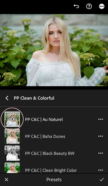 Lightroom Preset Fader