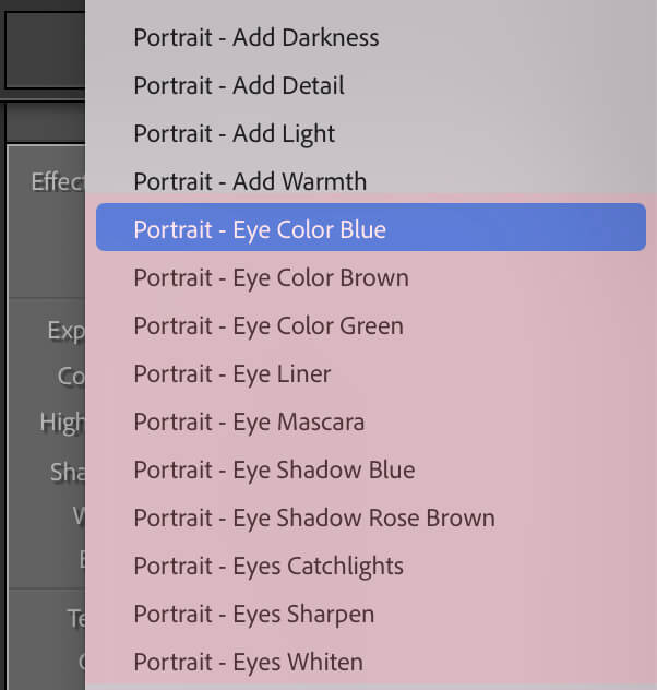 Portrait Brushes for eyes