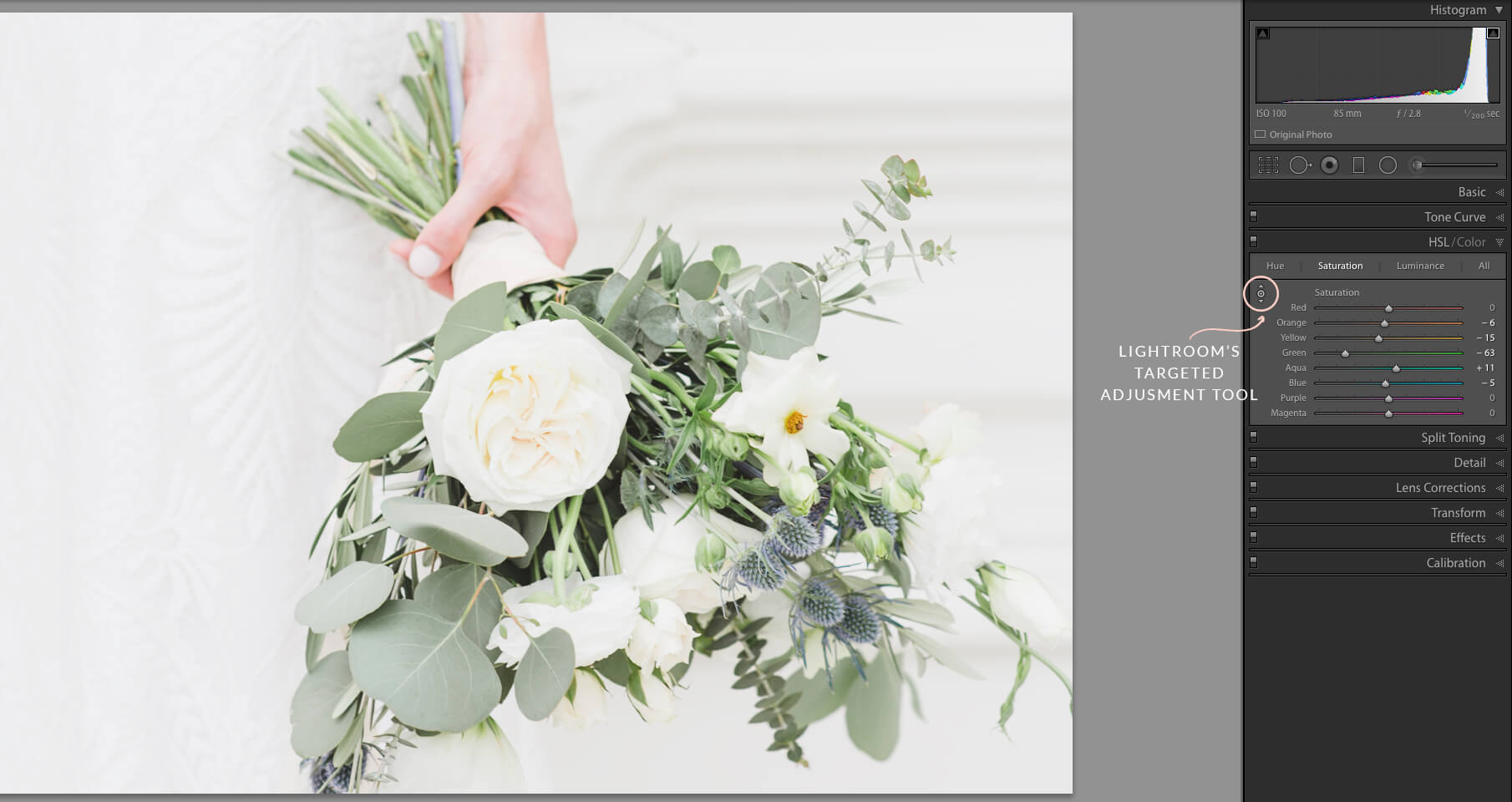 Targeted Adjustment Tool