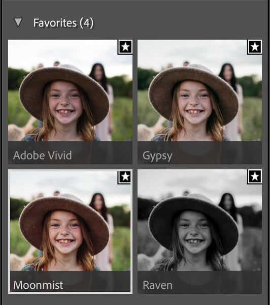 Add Profiles to Lightroom Mobile