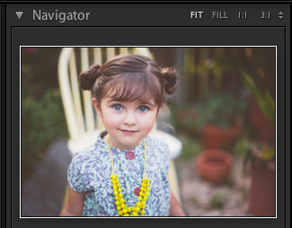 Lightroom Develop Module Tutorial