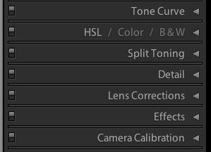 How to use the develop module