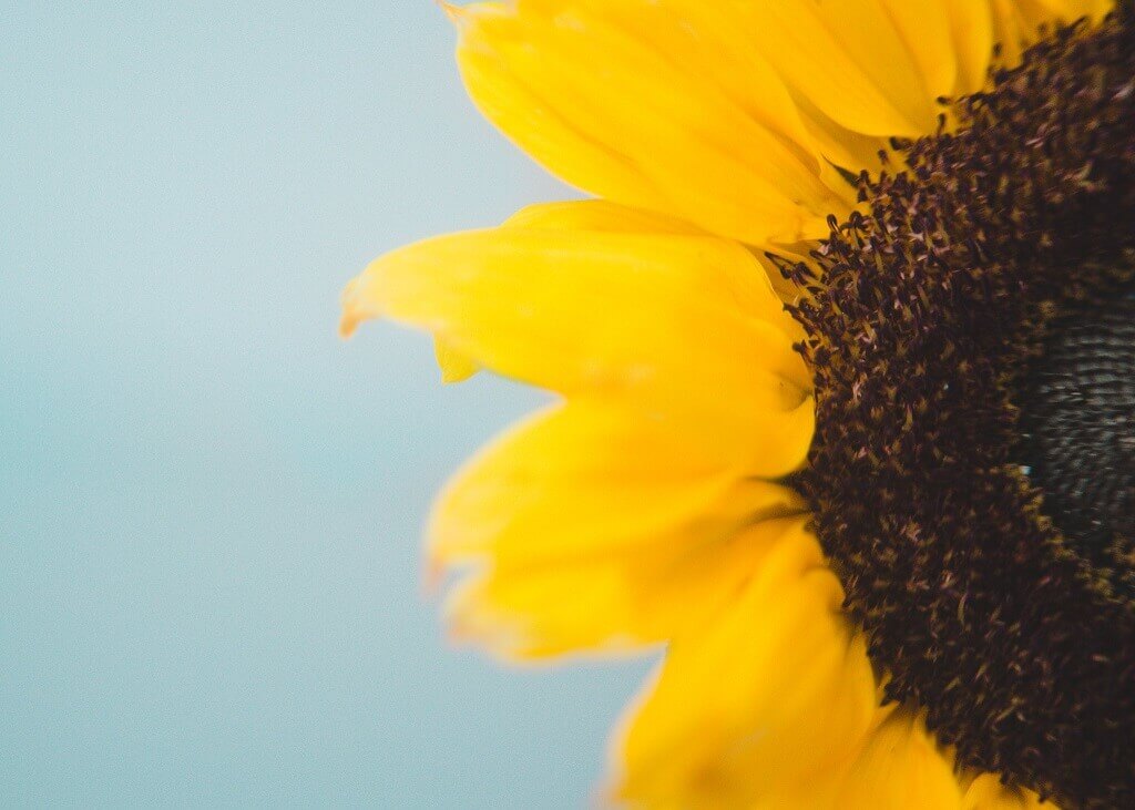 Perspective Photography Definition