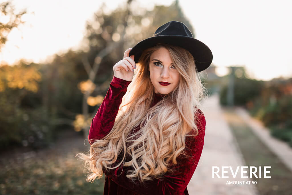 Lightroom Preset Opacity