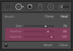 How to Use Clone Tool in Lightroom