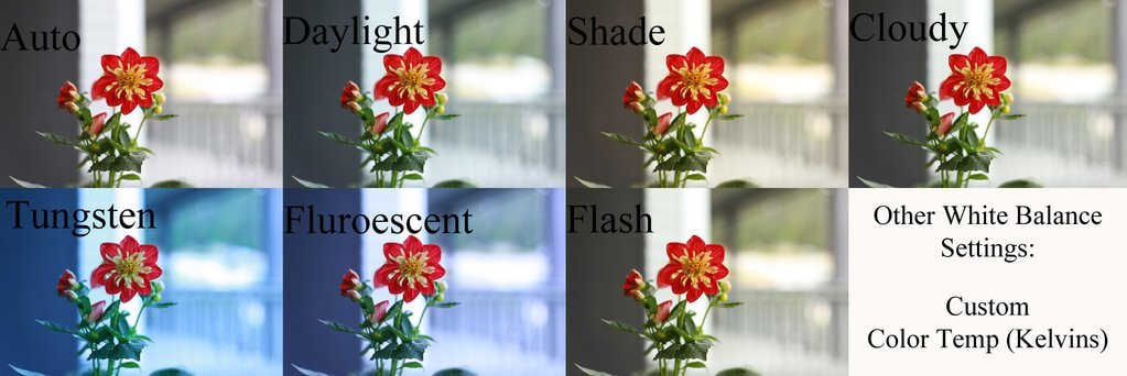 White Balance Settings