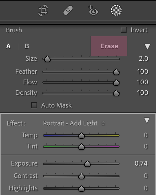 6 Questions About Lightroom's Brush Tool You're Too Afraid to Ask | Pretty Presets Lightroom Tutorial