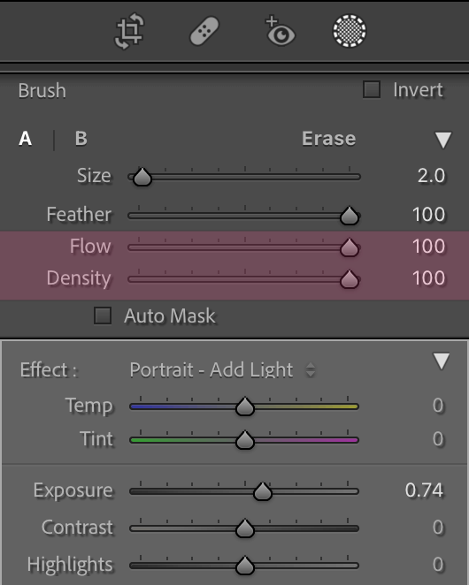 6 Questions About Lightroom's Brush Tool You're Too Afraid to Ask | Pretty Presets Lightroom Tutorial
