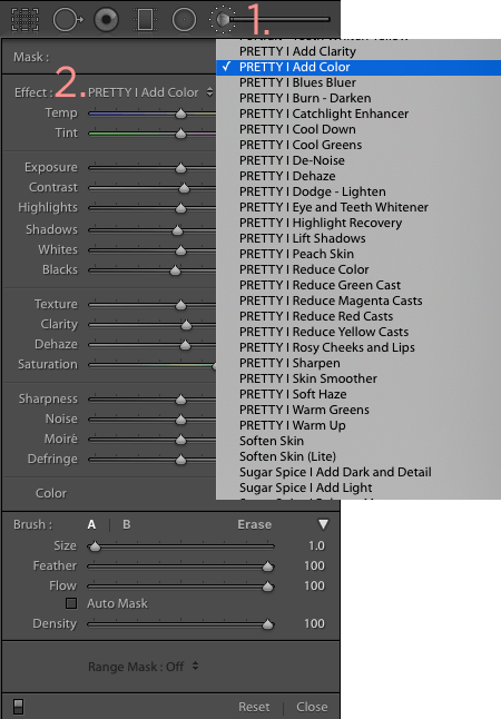 Where to find brushes in older versions of Lightroom