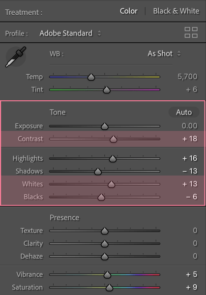 Lightroom Presence Panel