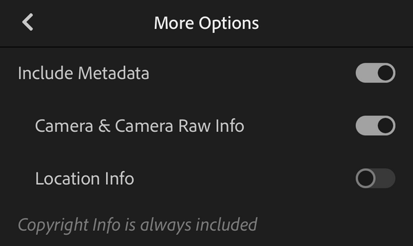 How to Save Edits in Lightroom Mobile