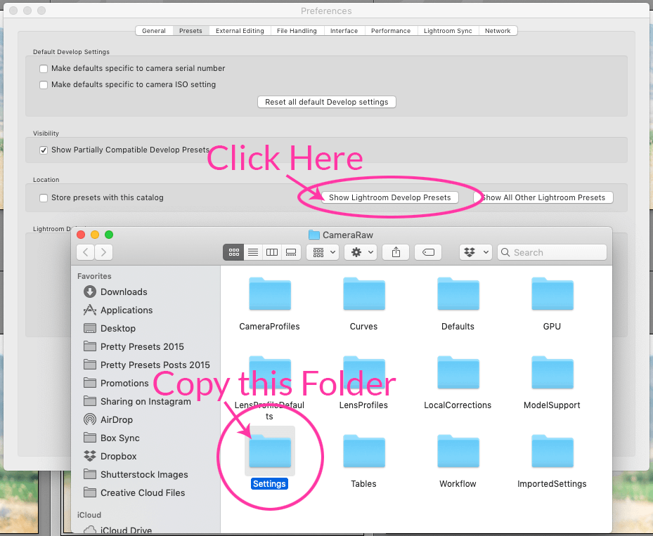 Back Up Lightroom Presets