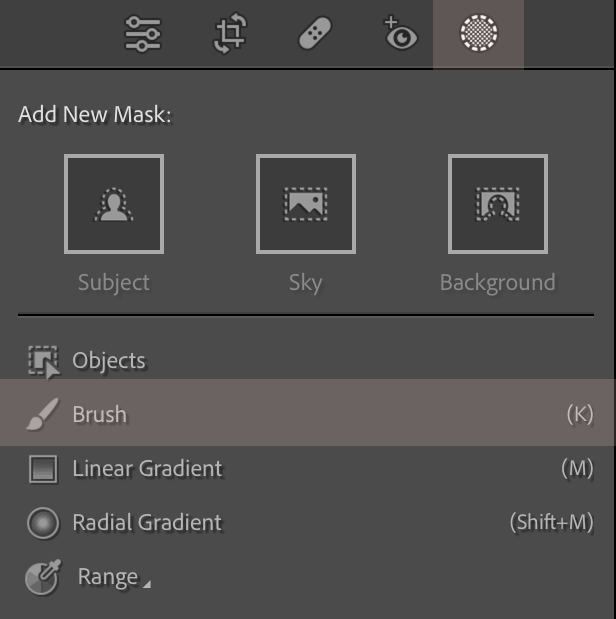 How to Remove Acne in Lightroom
