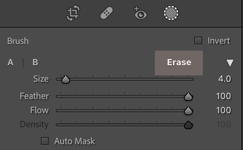 Smooth Skin Brush Lightroom