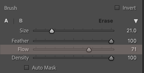 How to Soften Skin in Lightroom