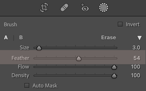 Teeth Whitening Lightroom