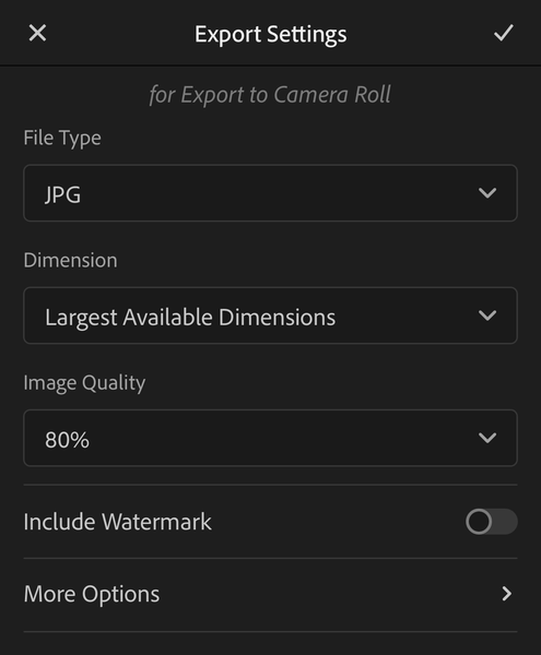 How to Export Photos from Lightroom Mobile