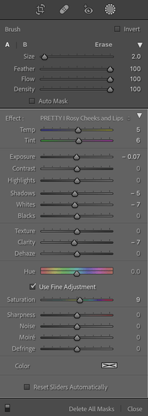 What Changes can you make with the brush tool