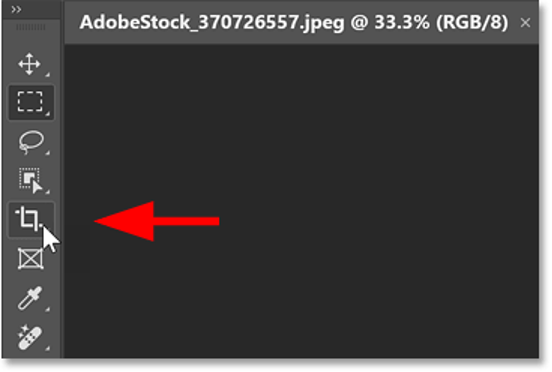 Generative Fill Photoshop