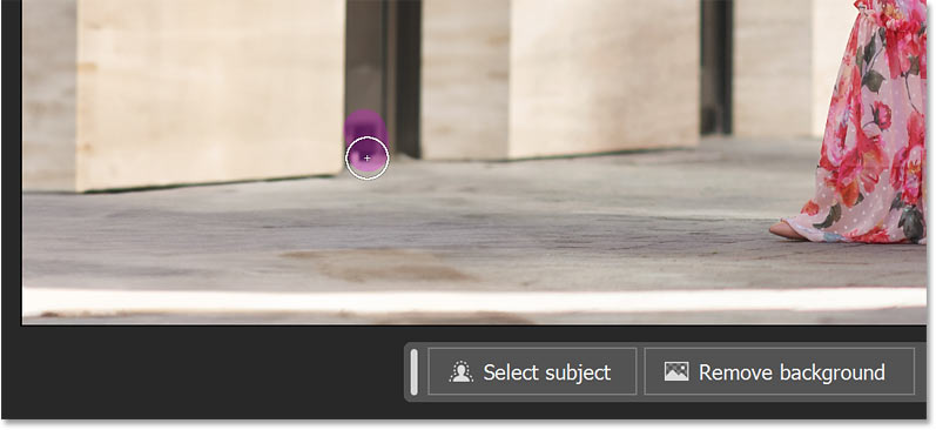 Photoshop Removal Tool