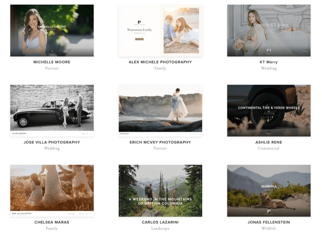Pixieset portfolio website builder with SEO and blog features