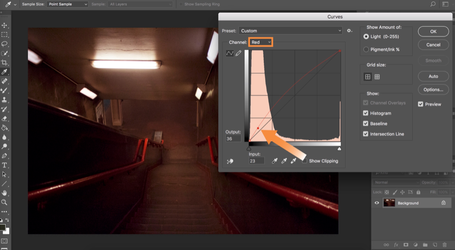 Photoshop Actions Tutorial