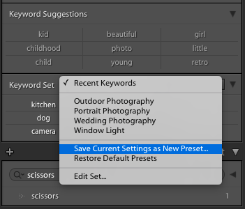 Adobe Lightroom Tagging