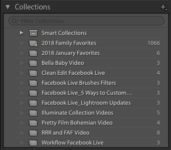 Lightroom 5 Develop Module