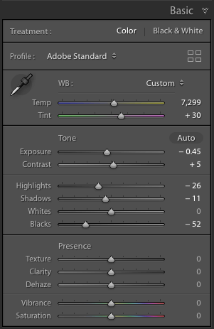 Develop Module Lightroom